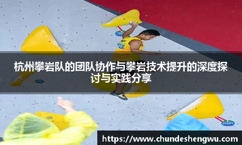 杭州攀岩队的团队协作与攀岩技术提升的深度探讨与实践分享