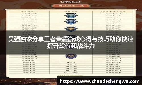 吴强独家分享王者荣耀游戏心得与技巧助你快速提升段位和战斗力