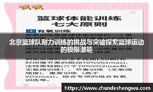 yy易游体育