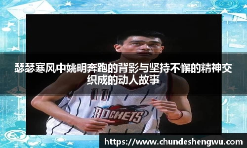 米乐YY易游
