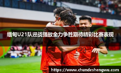 yy易游体育