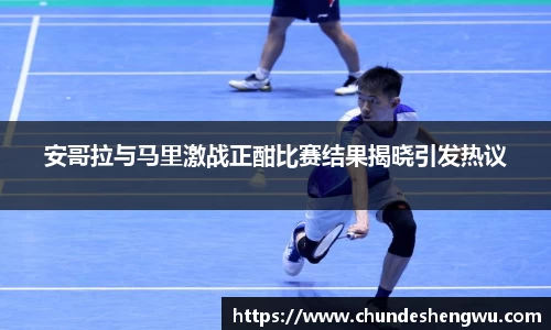 易游体育