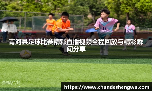 易游体育