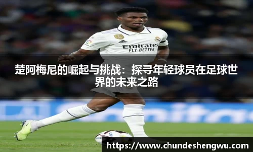 易游